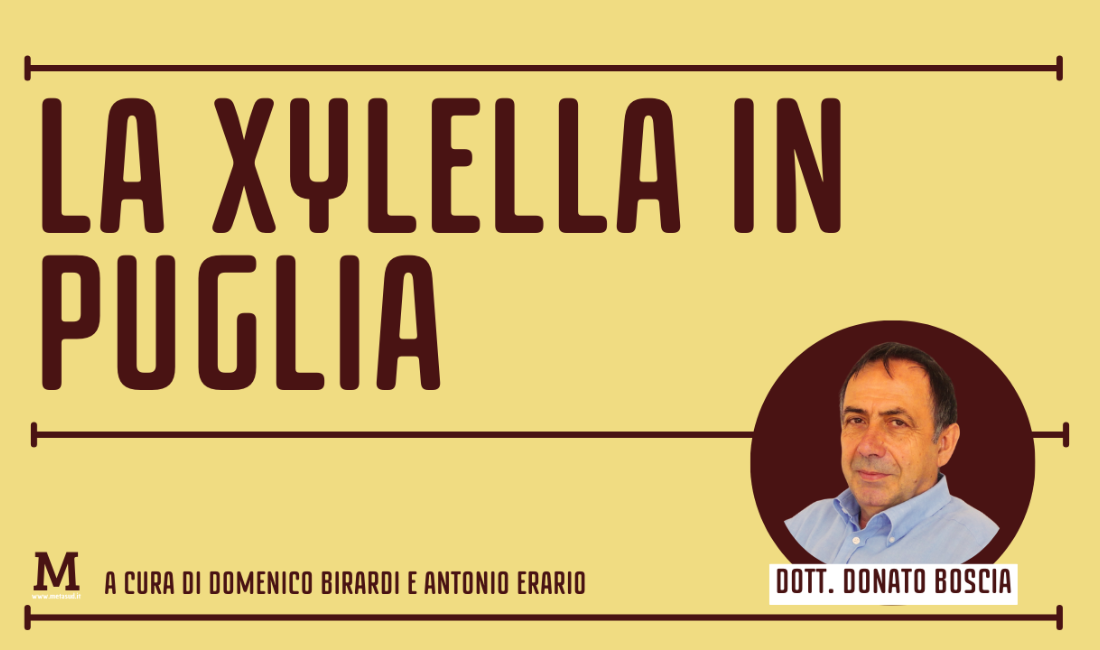 Introduzione alla Xylella fastidiosa in Puglia – Intervista al dott. Donato Boscia