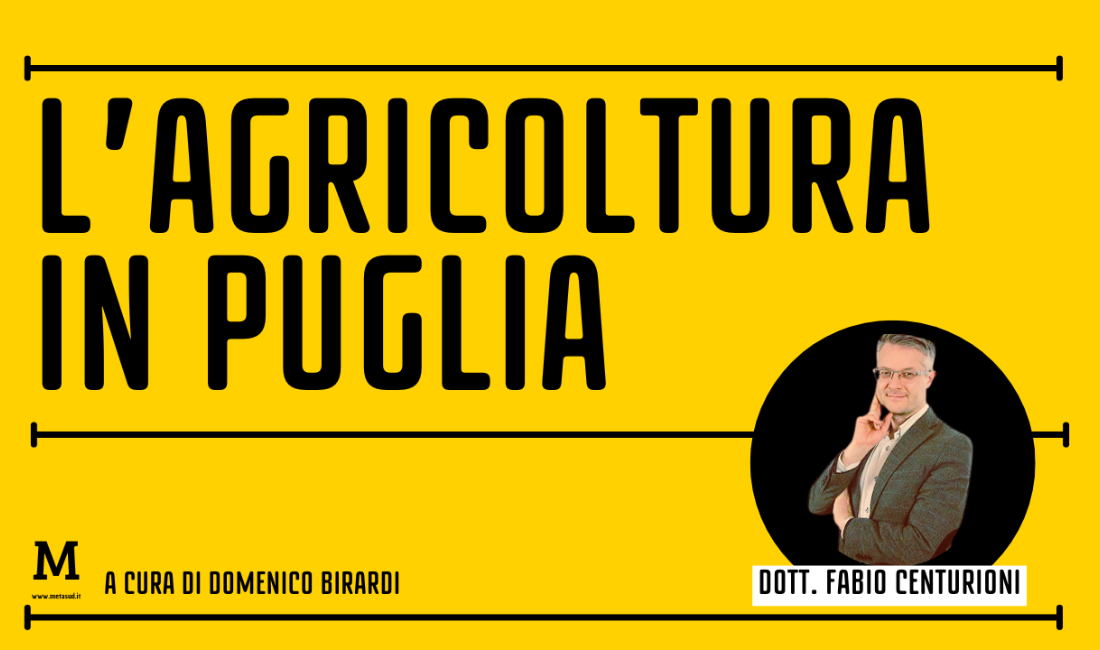 Bandi INAIL e ISMEA: opportunità per l’agricoltura pugliese – Intervista al dott. Fabio Centurioni